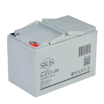 Тяговый аккумулятор Rutrike SKN 6-EVF-60 (12V64A/H C5)